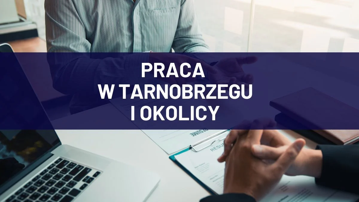 Nowe oferty pracy w Tarnobrzegu i okolicy. Poszukiwani m.in. sprzedawcy - Zdjęcie główne