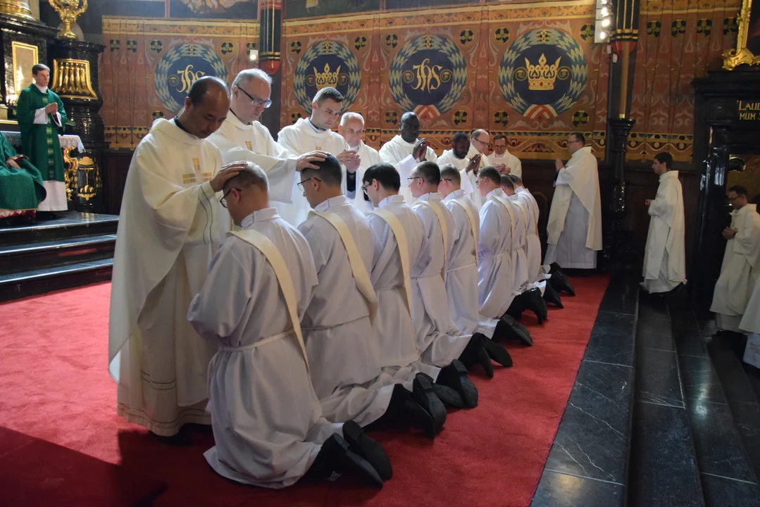 Dziewięciu nowych kapłanów w Diecezji Sandomierskiej. Do jaki parafii trafili? [ZDJĘCIA] - Zdjęcie główne
