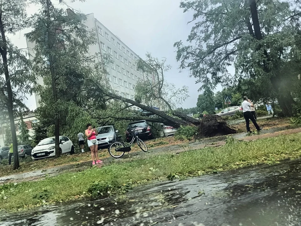 Gigantyczna burza przeszła przez Podkarpacie! Są połamane drzewa i uszkodzone samochody [ZDJĘCIA] - Zdjęcie główne