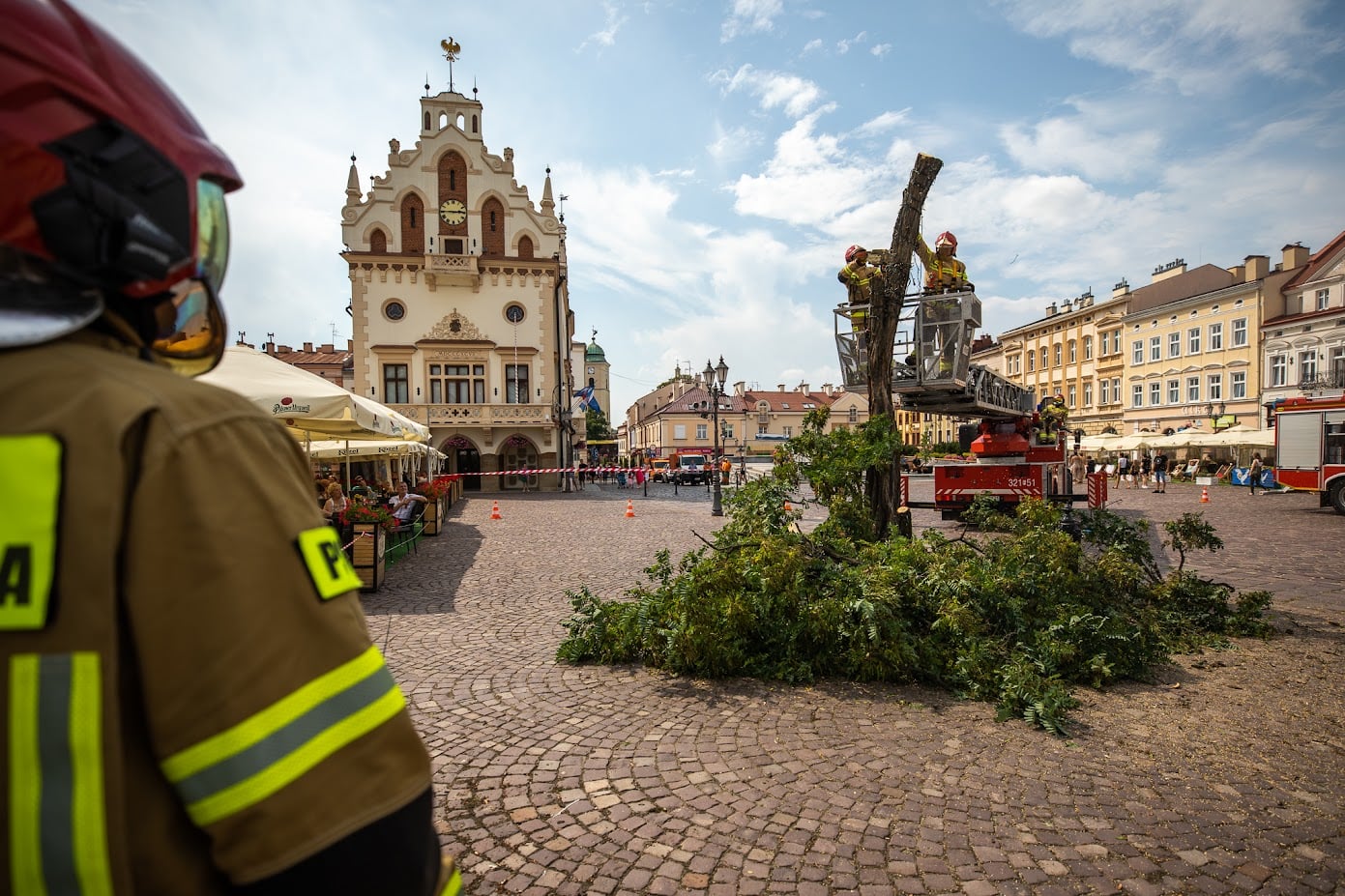 Złamana akacja znika z Rynku. Konrad Fijołek deklaruje posadzenie nowego drzewa [ZDJĘCIA] - Zdjęcie główne