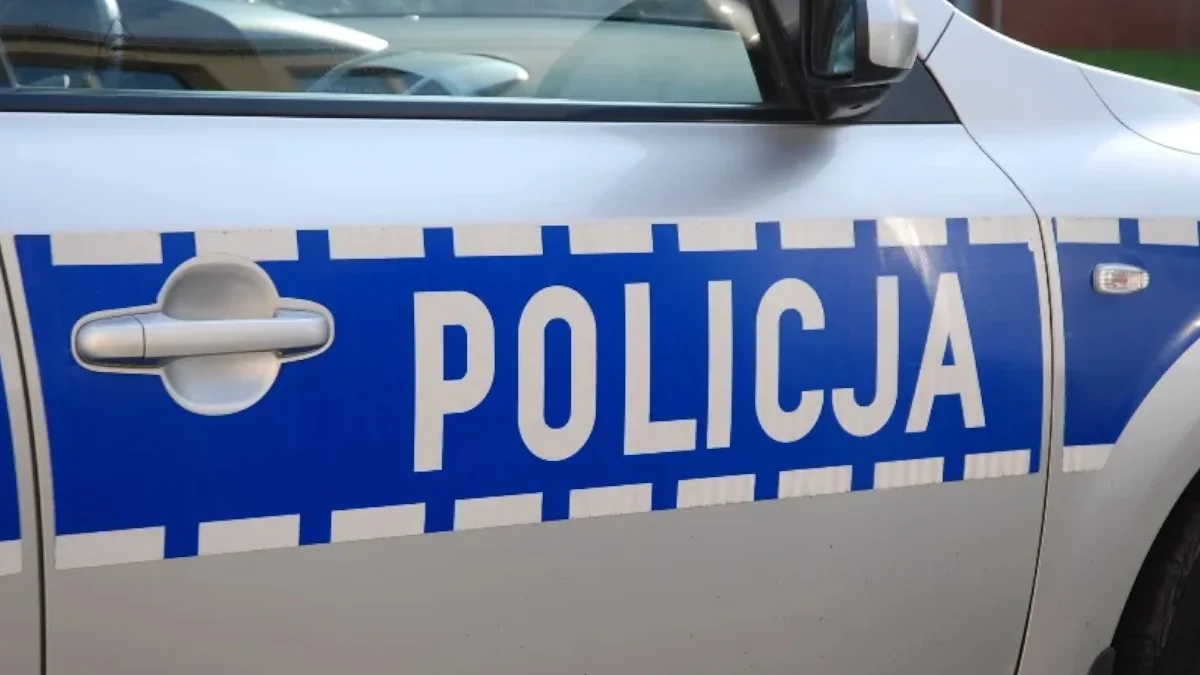 Uderzył kobietę, bo ta przepuszczała pieszych. Agresywny 65-latek z Tarnobrzega zatrzymany przez policję - Zdjęcie główne