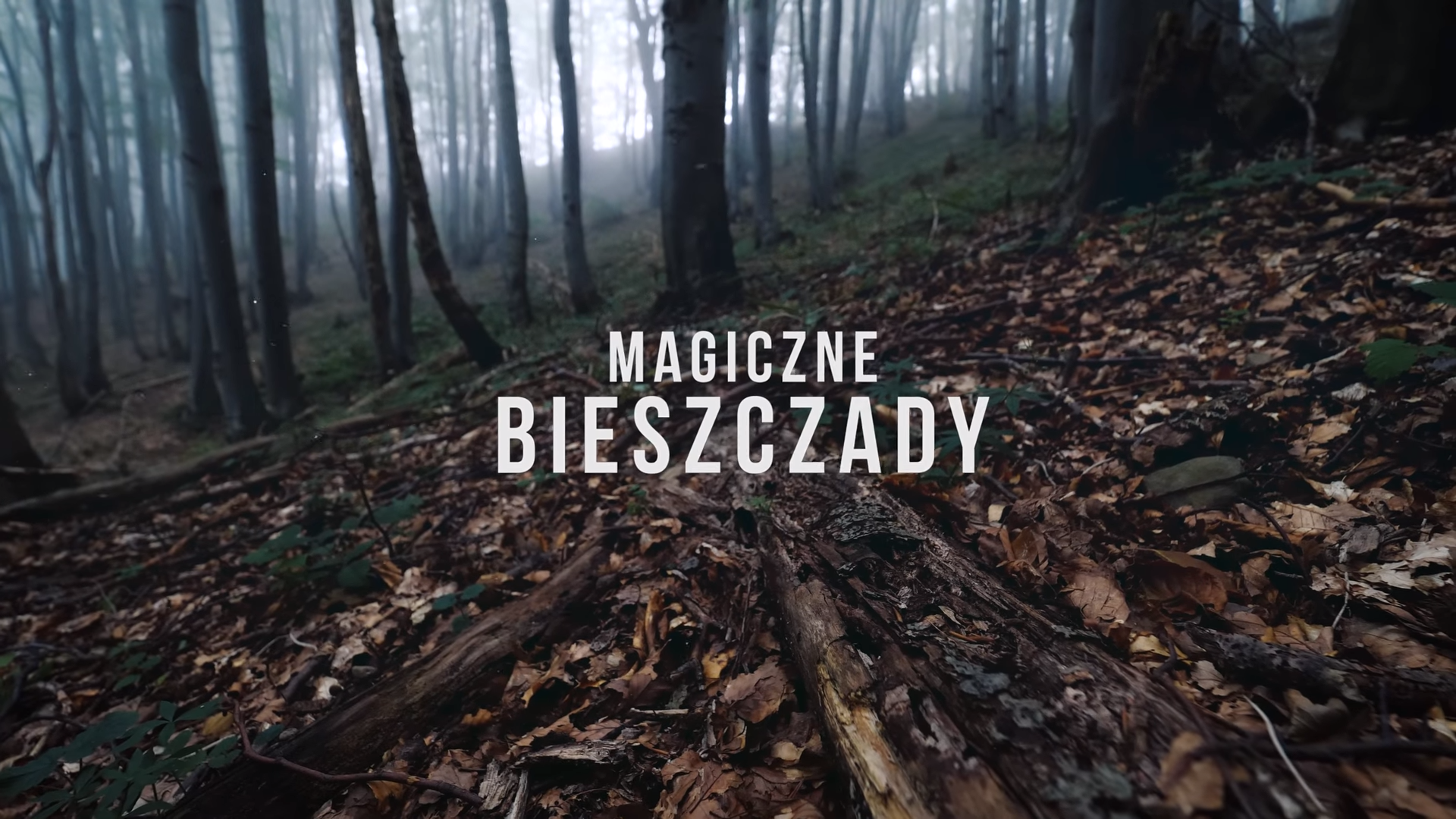 Magiczne Bieszczady. Zobacz najpiękniejsze ujęcia z naszych gór [VIDEO] - Zdjęcie główne