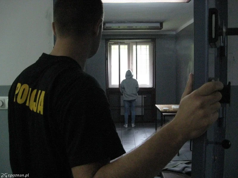 Areszt dla 37-latka z powiatu leżajskiego, sprawcy ataku nożem na swoją znajomą - Zdjęcie główne