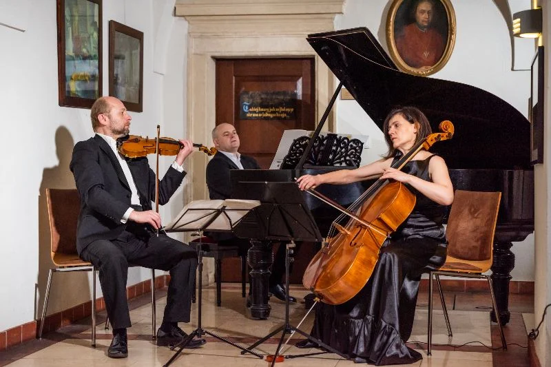 Koncert kameralny w Filharmonii Podkarpackiej. Wystąpi Malawski Trio - Zdjęcie główne