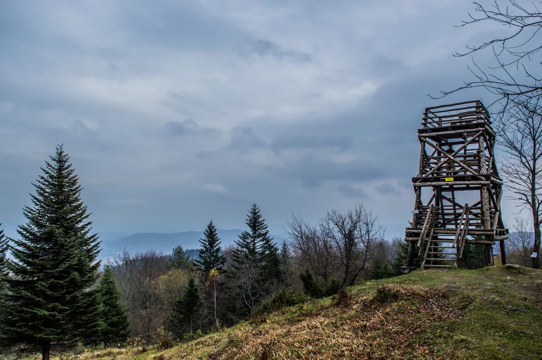 Wieża widokowa na Korbani w Bieszczadach pozostaje zamknięta. Nie wyjdziemy również ścieżką „Brenzberg” na szczyt Jeleniowatego - Zdjęcie główne