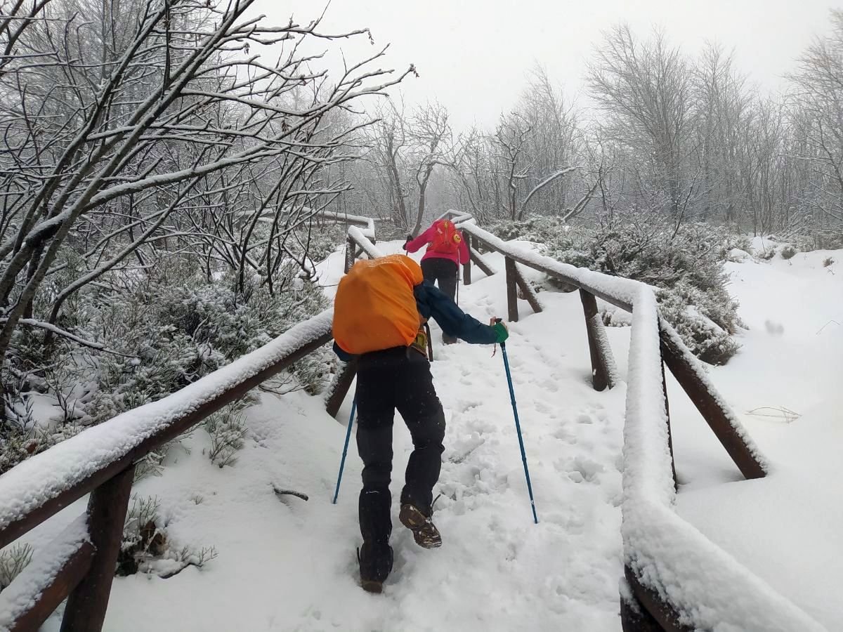 Sprawdzamy warunki na szlakach Bieszczadzkiego Parku Narodowego - Zdjęcie główne