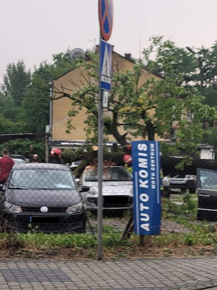 Drzewo runęło na auta.