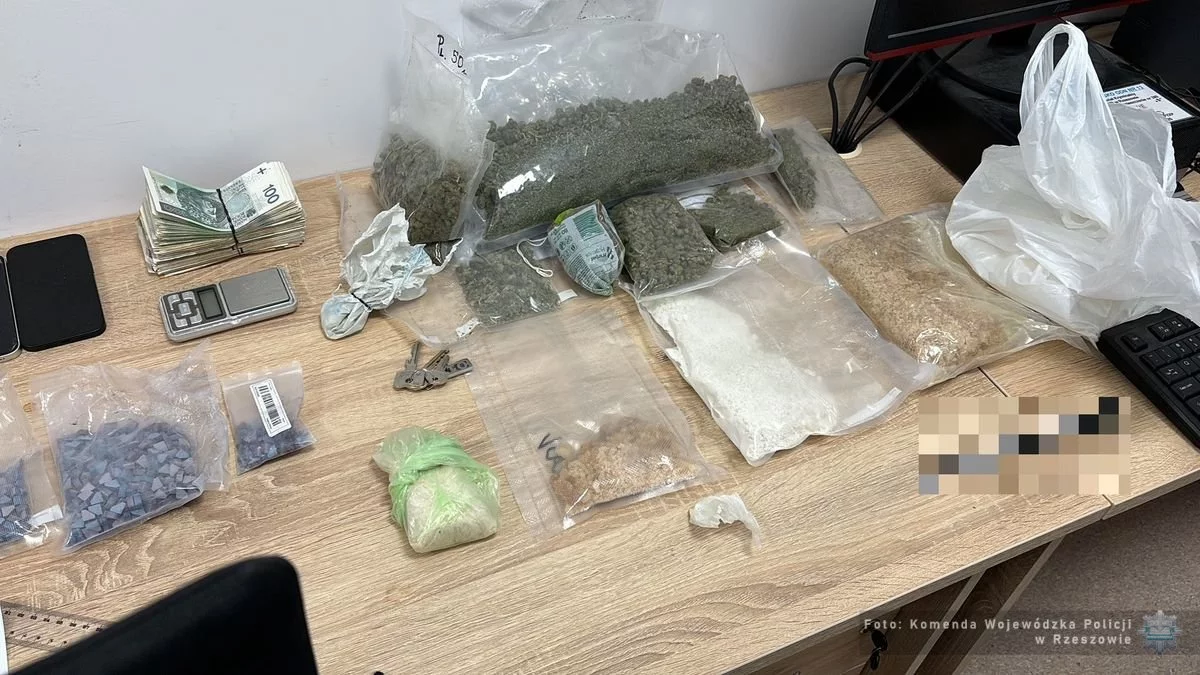 Wielkie miliony i setki kilogramów narkotyków. Kryminalni w akcji - Zdjęcie główne