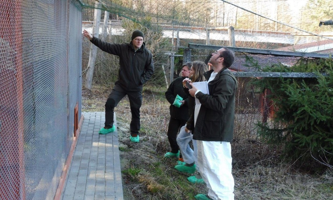 Hiszpańscy specjaliści podpatrują hodowlę głuszców na Podkarpaciu [FOTO FILM] - Zdjęcie główne