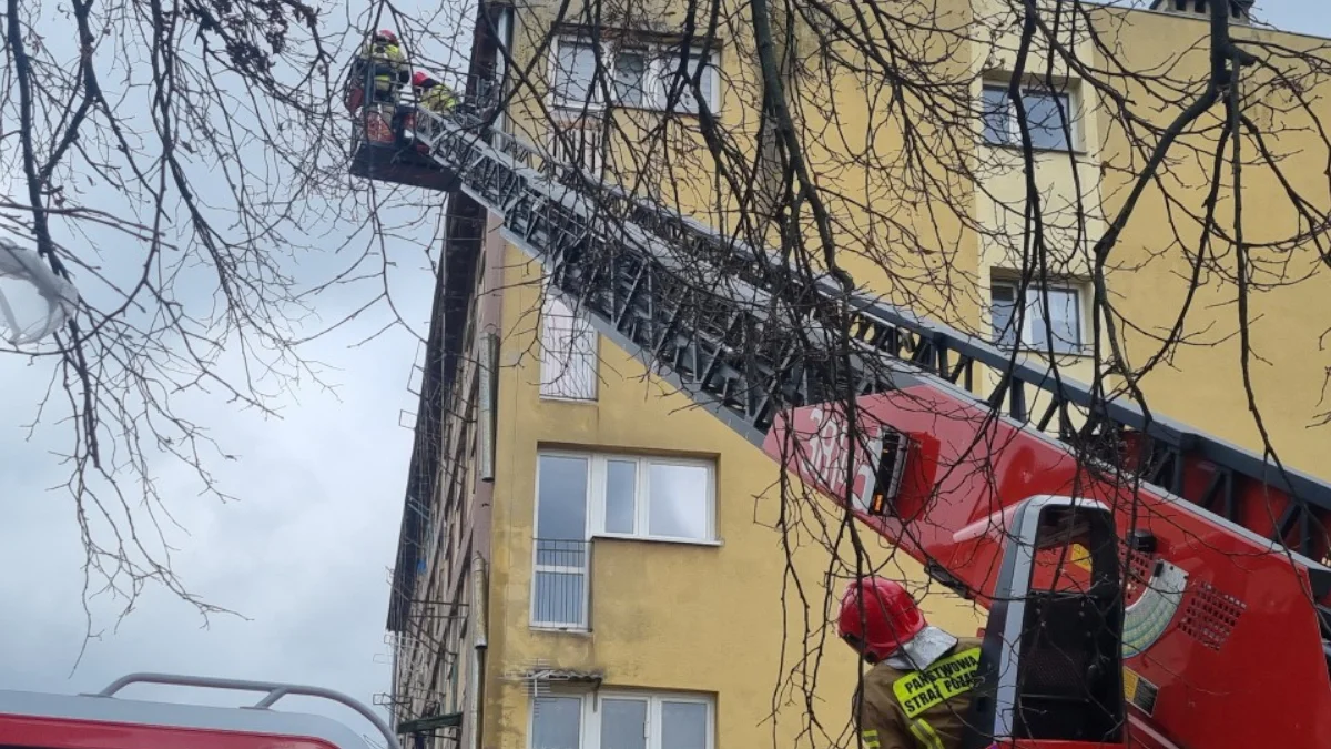 Wiatr szalał w Tarnobrzegu z nocy z 5 na 6 lutego. Skutki odczuli mieszkańcy jednego z osiedli [ZDJĘCIA] - Zdjęcie główne