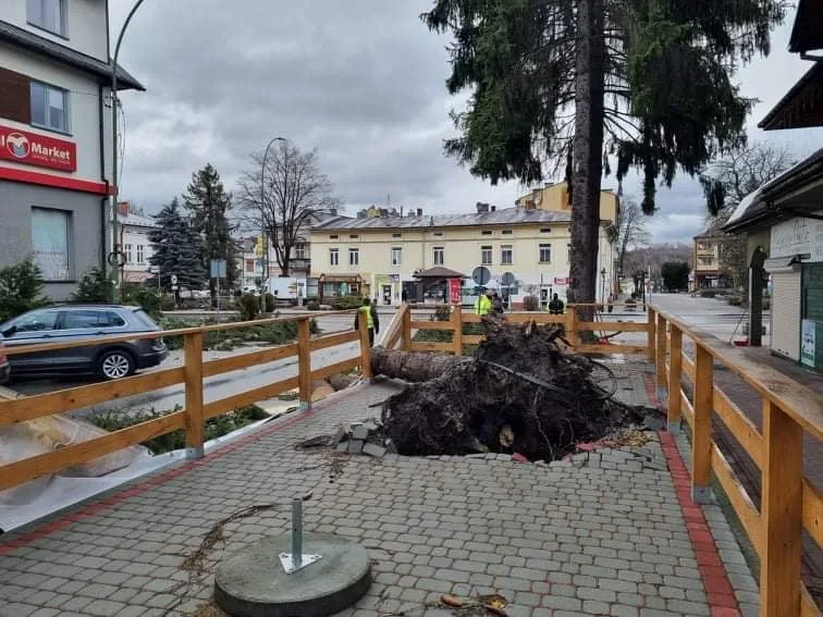 Nadchodzi kolejna wichura! Porywy wiatru do 120 km/h! Trzy osoby nie żyją - to tragiczny bilans orkanu Dudley [RADAR ONLINE] - Zdjęcie główne