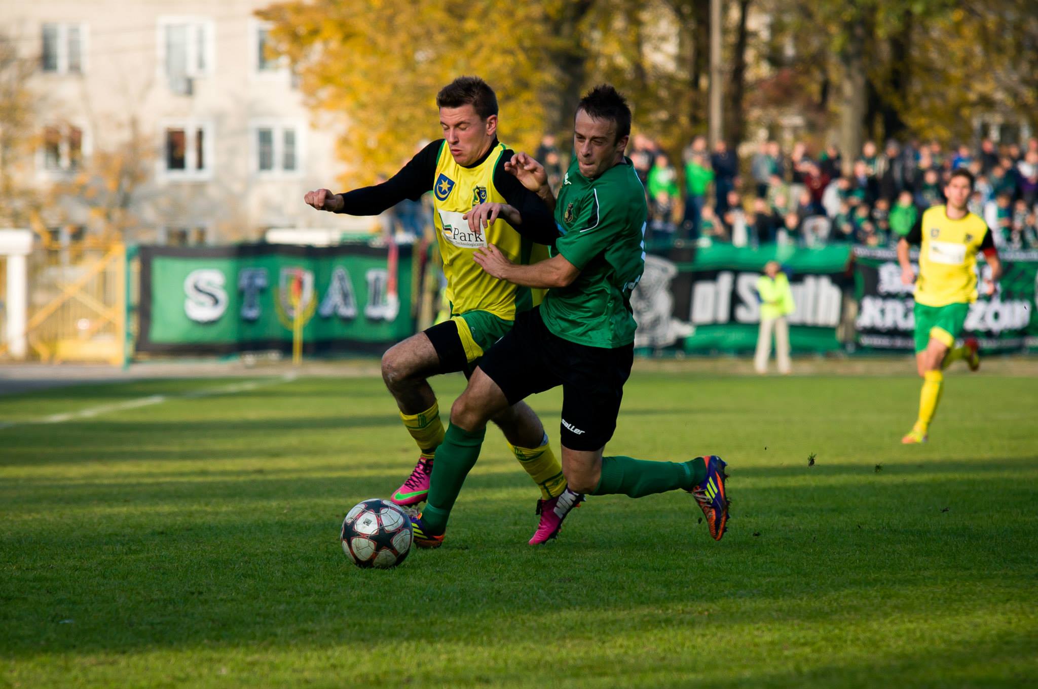 12.10.2013 rok: Stal Stalowa Wola - Siarka Tarnobrzeg 0:1
