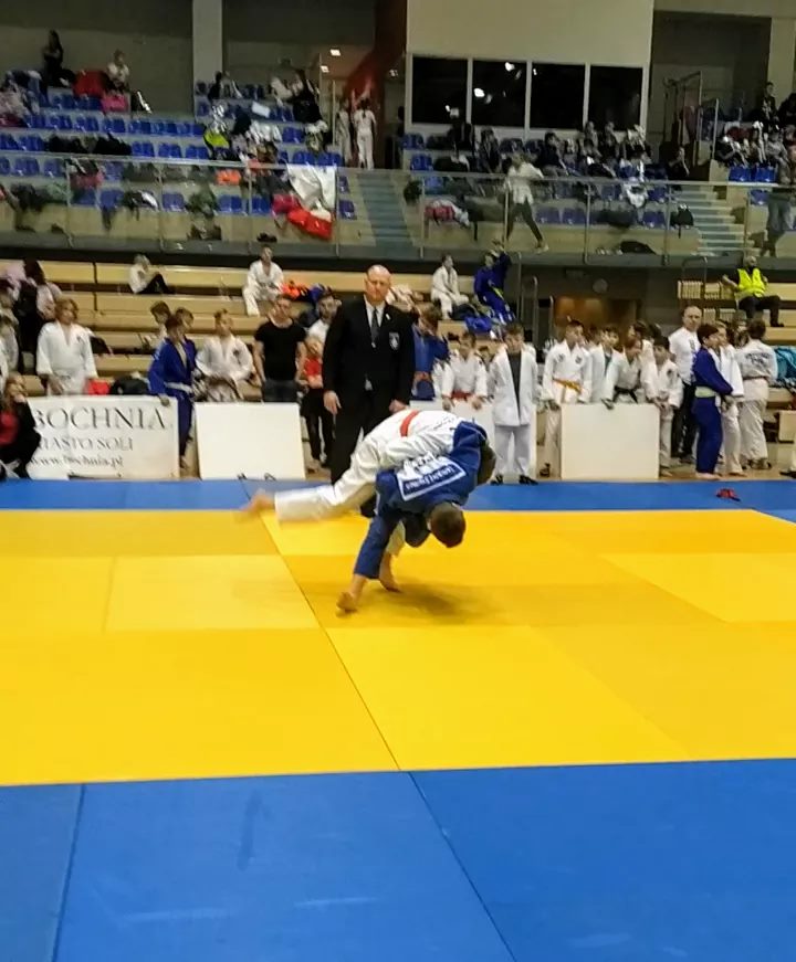 Rzeszowscy judocy wywalczyli 14 medali - Zdjęcie główne