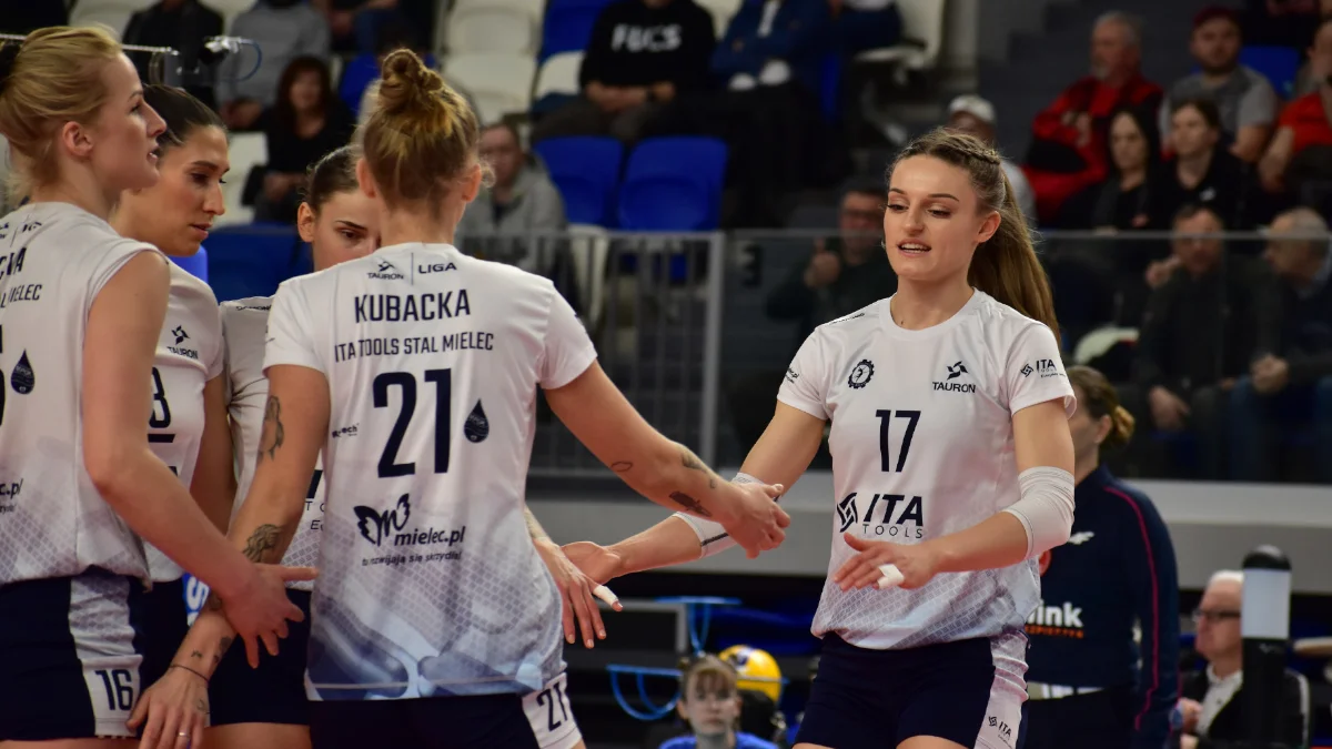 TAURON Liga: Godne pożegnanie sezonu. ITA TOOLS Stal Mielec lepsza od #Volley Wrocław [ZDJĘCIA] - Zdjęcie główne