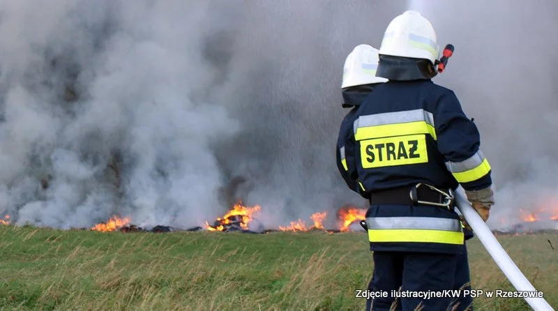 Tragedia podczas wypalania traw! Śmierć podczas pożaru w Bieździadce! - Zdjęcie główne