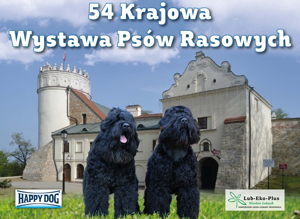 54 Krajowa Wystawa Psów Rasowych - Zdjęcie główne