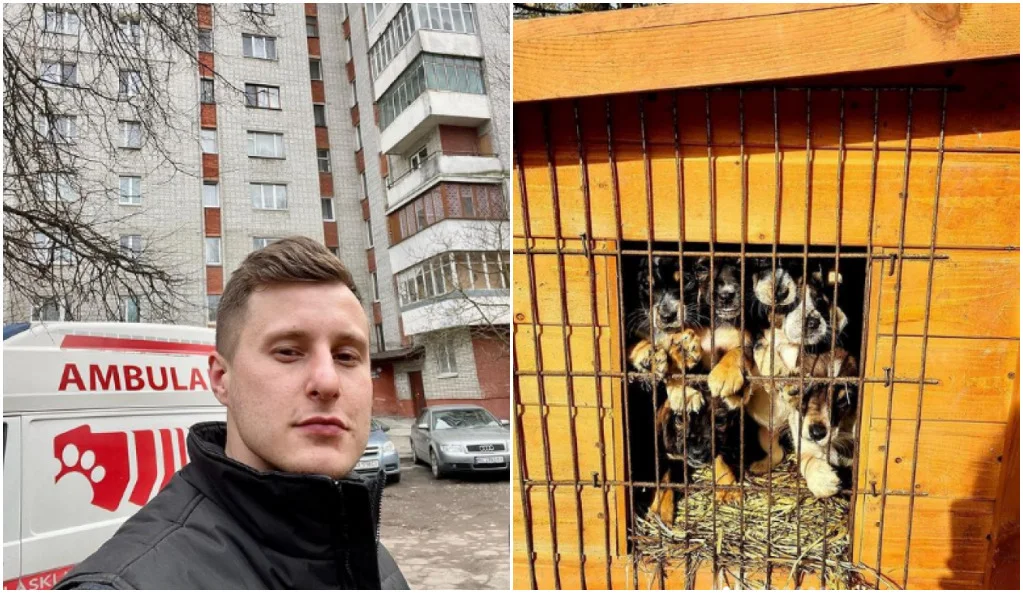 Ratuje zwierzęta z ogarnietej wojną Ukrainy