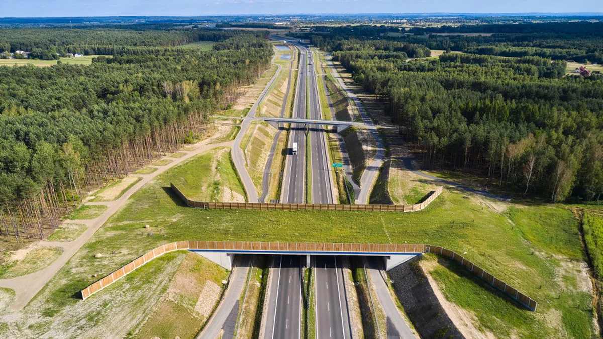 Siedem obwodnic na Podkarpaciu ma powstać do 2029 roku. Które miejscowości na tym skorzystają? - Zdjęcie główne