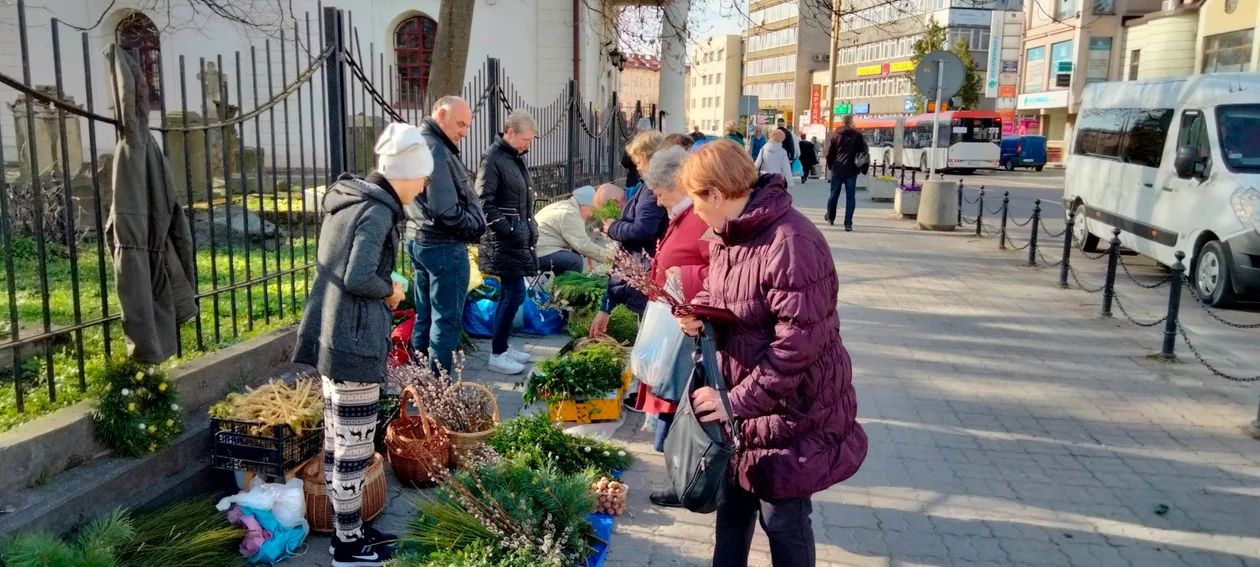 Przedświąteczny handel przy Hali Targowej w Rzeszowie. Sprawdzamy co można kupić i jakie są ceny na rynku [ZDJĘCIA] - Zdjęcie główne