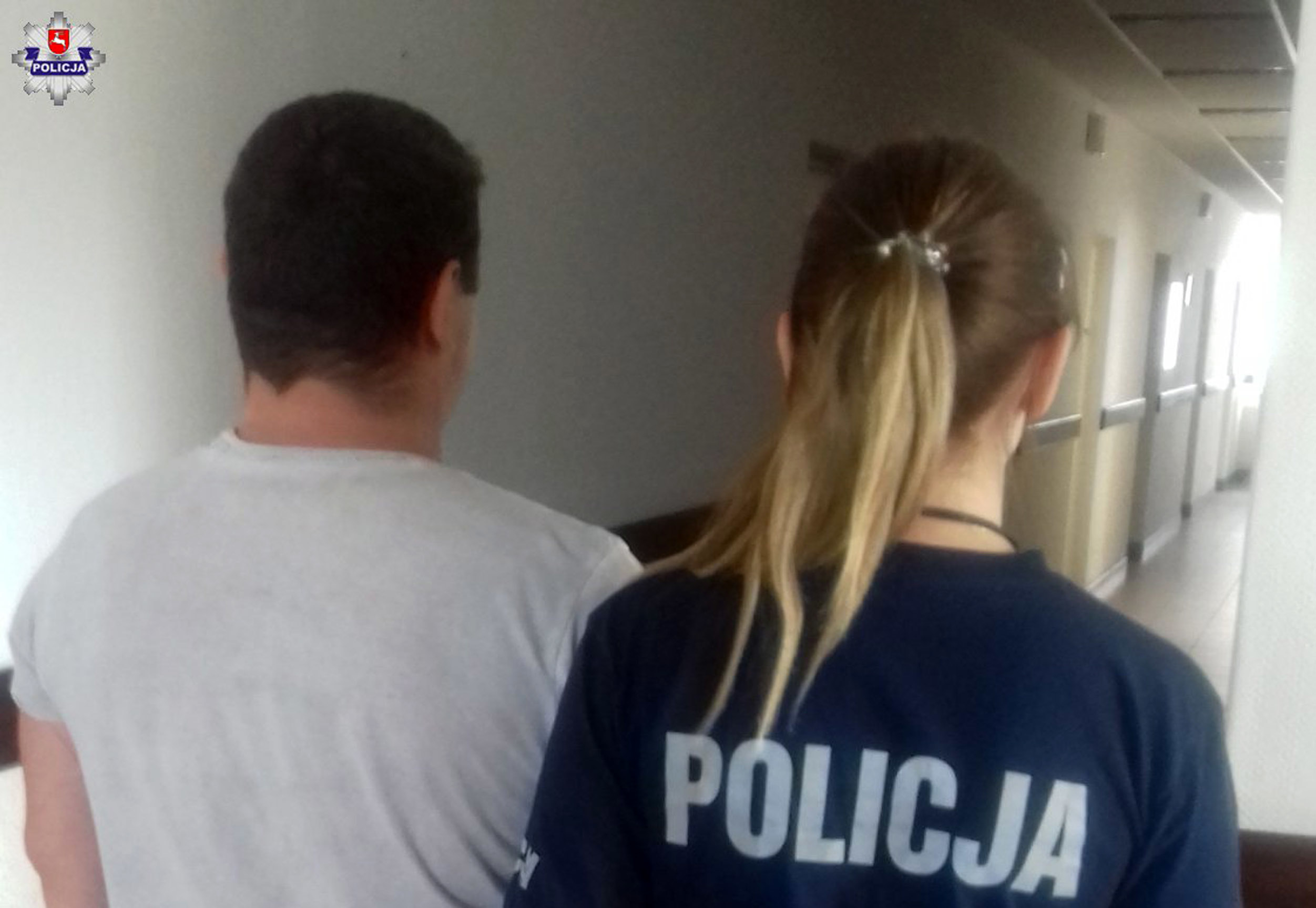 Wrzucił małego kota do kojca z psem - Zdjęcie główne