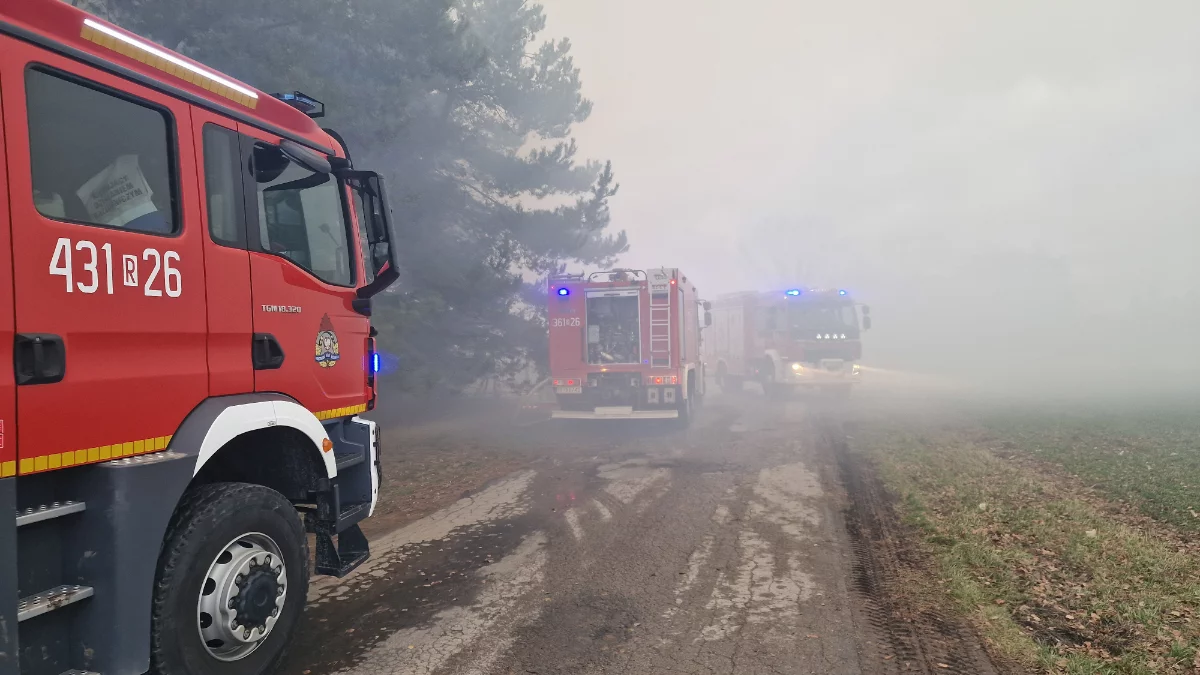 Pożar pustej hali po fermie drobiu w Pełkinii: 100 strażaków walczy z ogniem - Zdjęcie główne