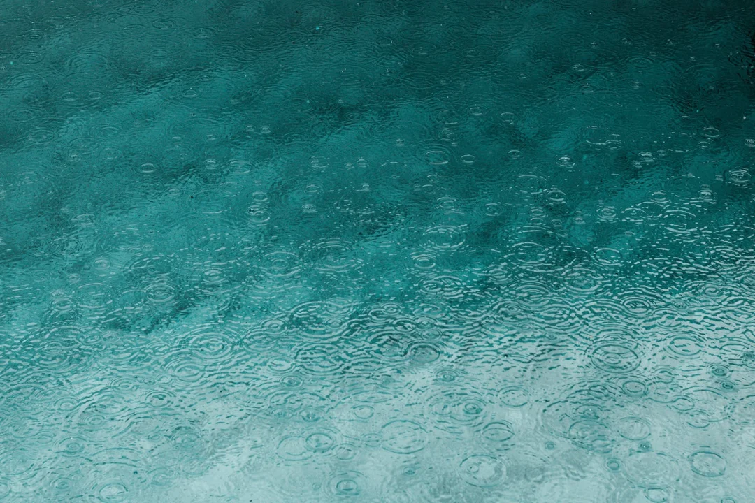 Deszcz ze śniegiem, deszcz i kapryśna pogoda na Podkarpaciu w niedzielę 19 listopada [RADAR ONLINE] - Zdjęcie główne