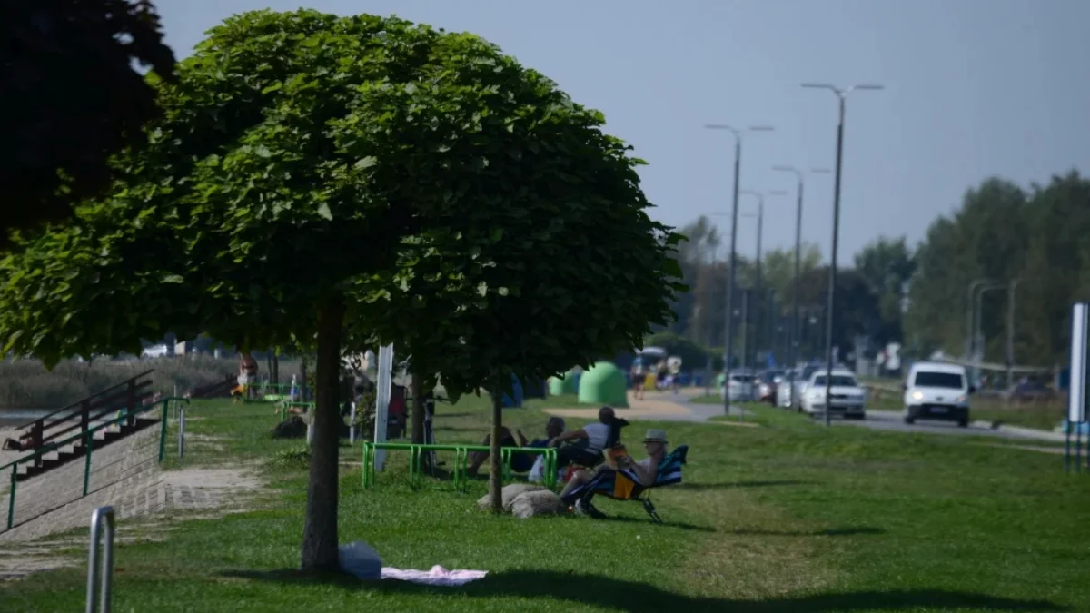 Bulwar nad Jeziorem Tarnobrzeskim będzie miał patrona. To jednogłośna decyzja radnych - Zdjęcie główne