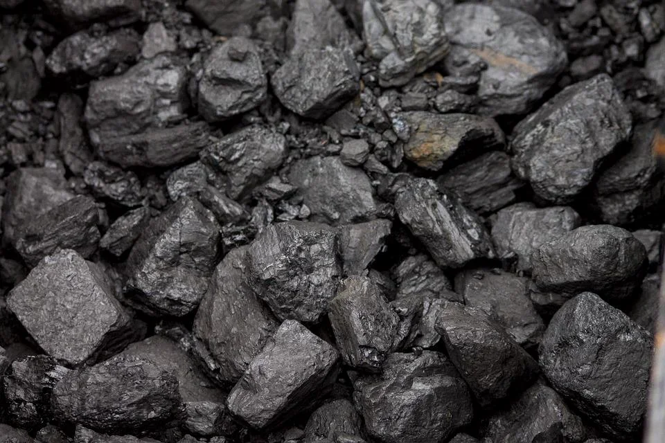 Rusza sprzedaż taniego węgla dla mieszkańców Tarnobrzega. Gdzie będzie można kupić ten kruszec i w jakiej cenie? Poznaj wszystkie zasady - Zdjęcie główne