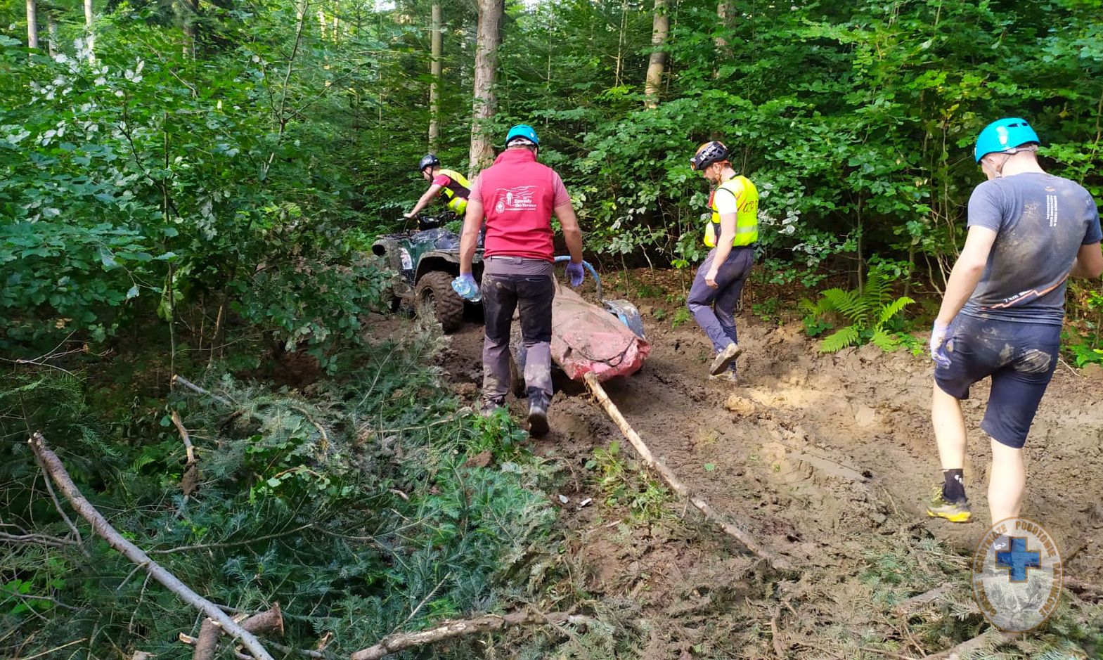 TRAGEDIA podczas prac w lesie! Drzewo runęło na mężczyznę! - Zdjęcie główne