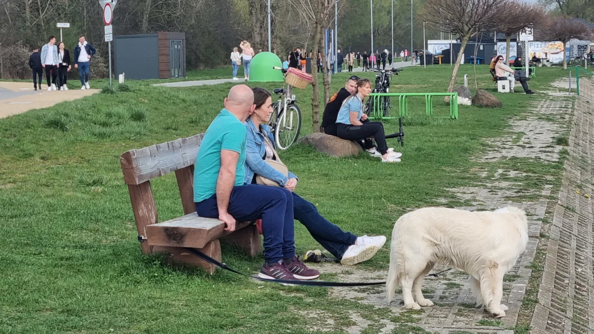 Słoneczny Lany Poniedziałek nad Jeziorem Tarnobrzeskim. Tak wypoczywali mieszkańcy [ZDJĘCIA] - Zdjęcie główne