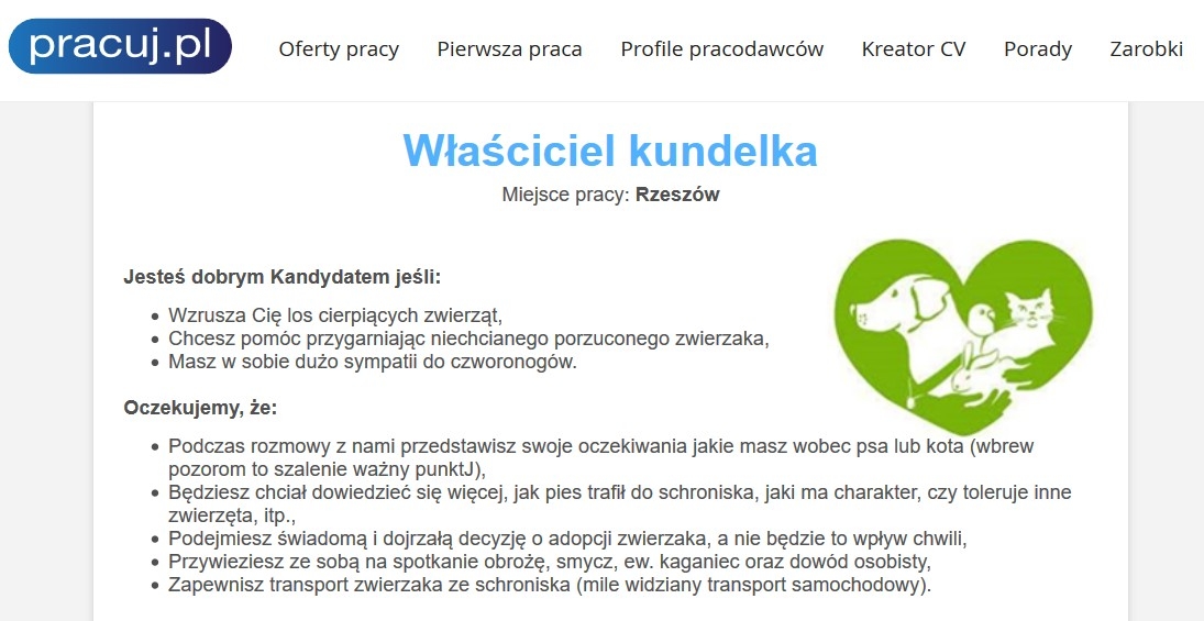 "Kundelek" szuka rodzin dla zwierząt na... Pracuj.pl - Zdjęcie główne
