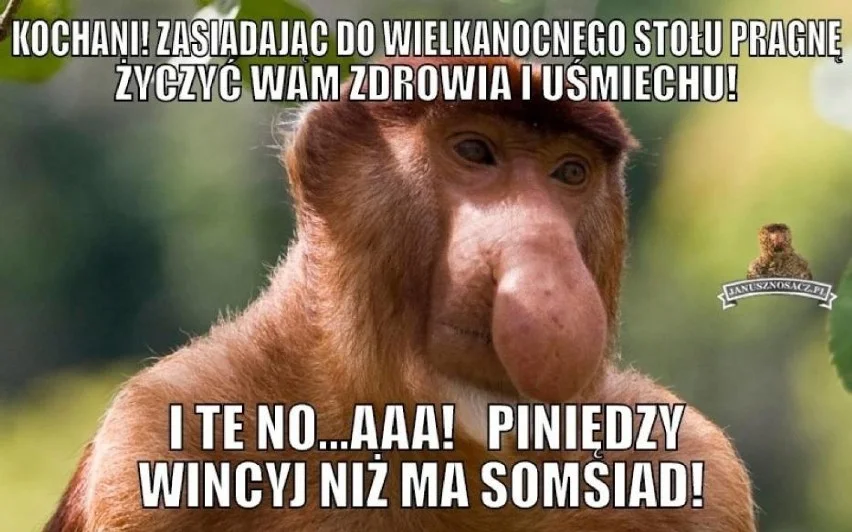Wielkanoc 2022 na wesoło. Zobacz najlepsze memy.