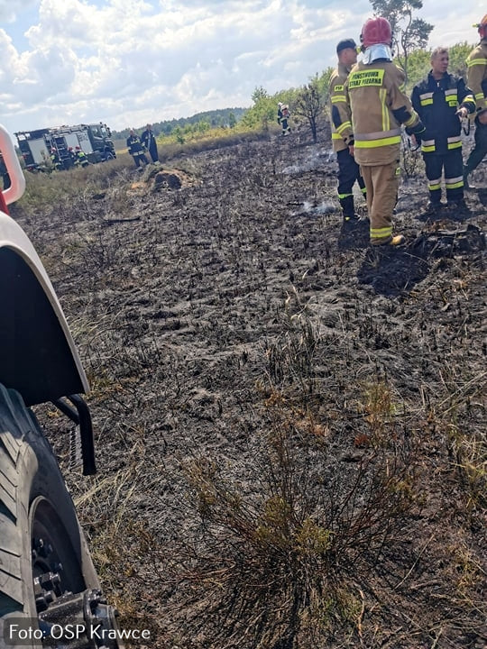 Pożar na poligonie w Nowej Dębie.