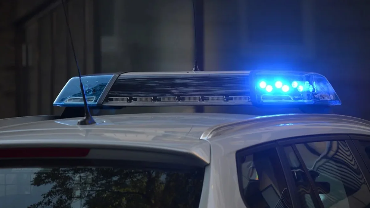 Nowe dane dotyczące przypadków zatrucia mięsem z Nowej Dęby. Liczba hospitalizowanych i uratowanych dzięki alertom - Zdjęcie główne