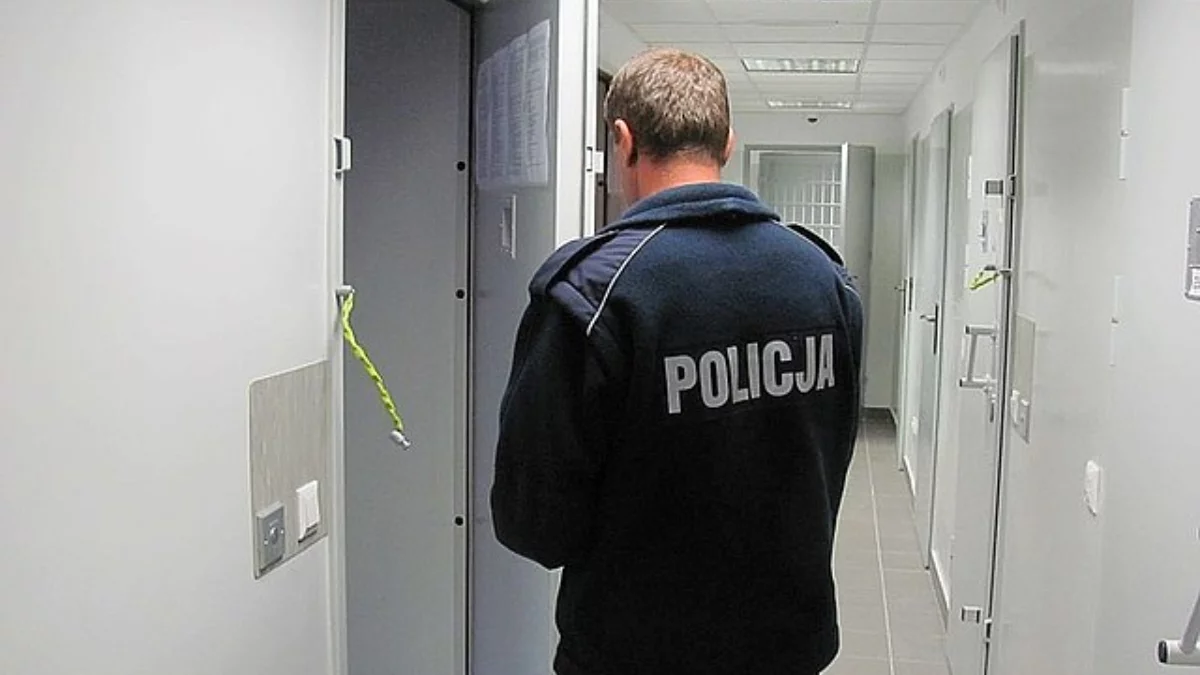 Oszust-makler wpadł w ręce policji. Wyłudził fortunę od 72-latki - Zdjęcie główne