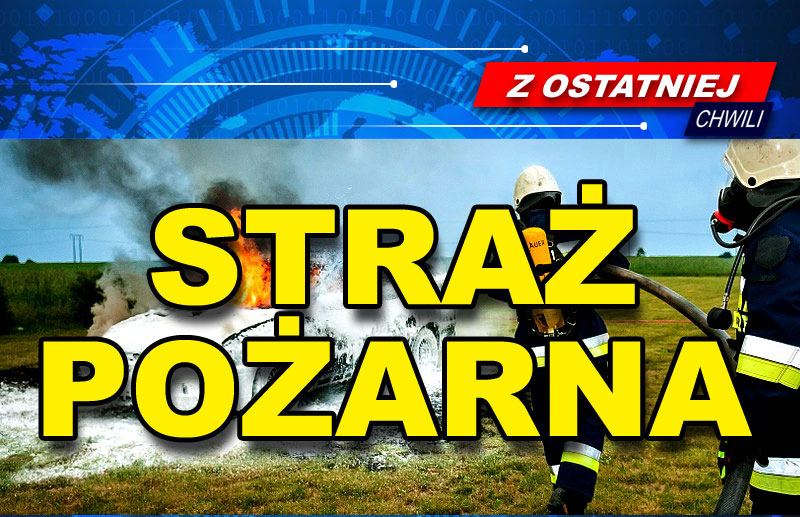 Straż pożarna interweniowała w powiecie kolbuszowskim aż 136 razy [RAPORT STRAŻY] - Zdjęcie główne