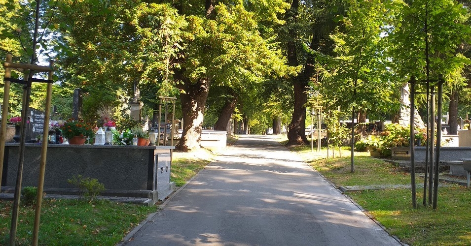 Na co umieramy na Podkarpaciu? - Zdjęcie główne