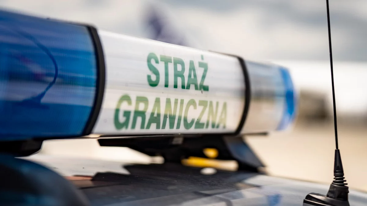 Nielegalni migranci z trzech kontynentów zatrzymani na Podkarpaciu - Zdjęcie główne