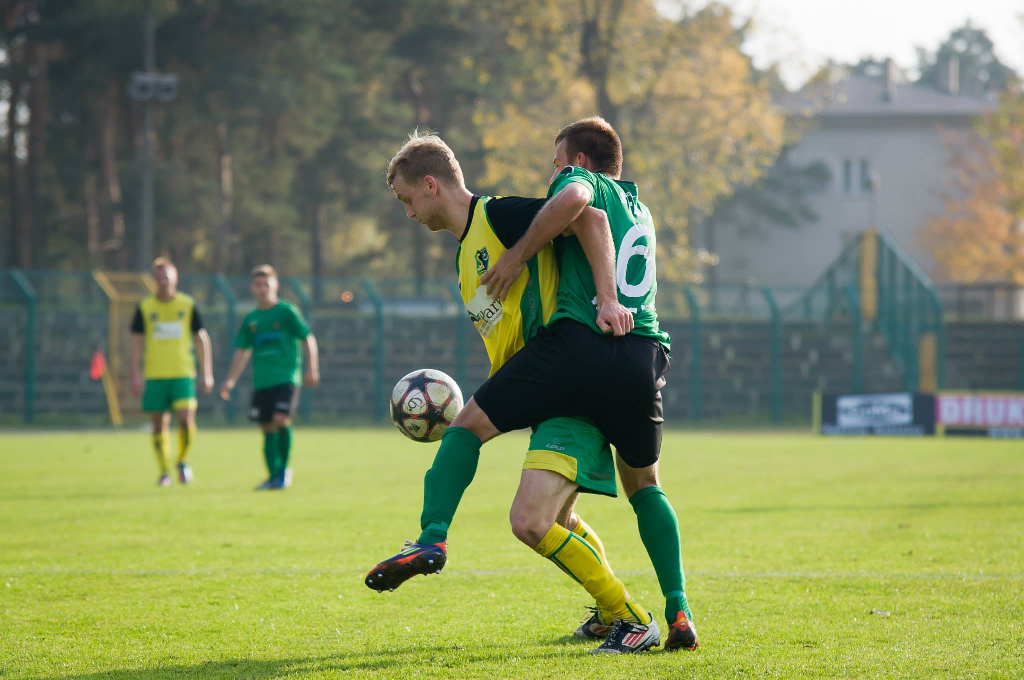 12.10.2013 rok: Stal Stalowa Wola - Siarka Tarnobrzeg 0:1