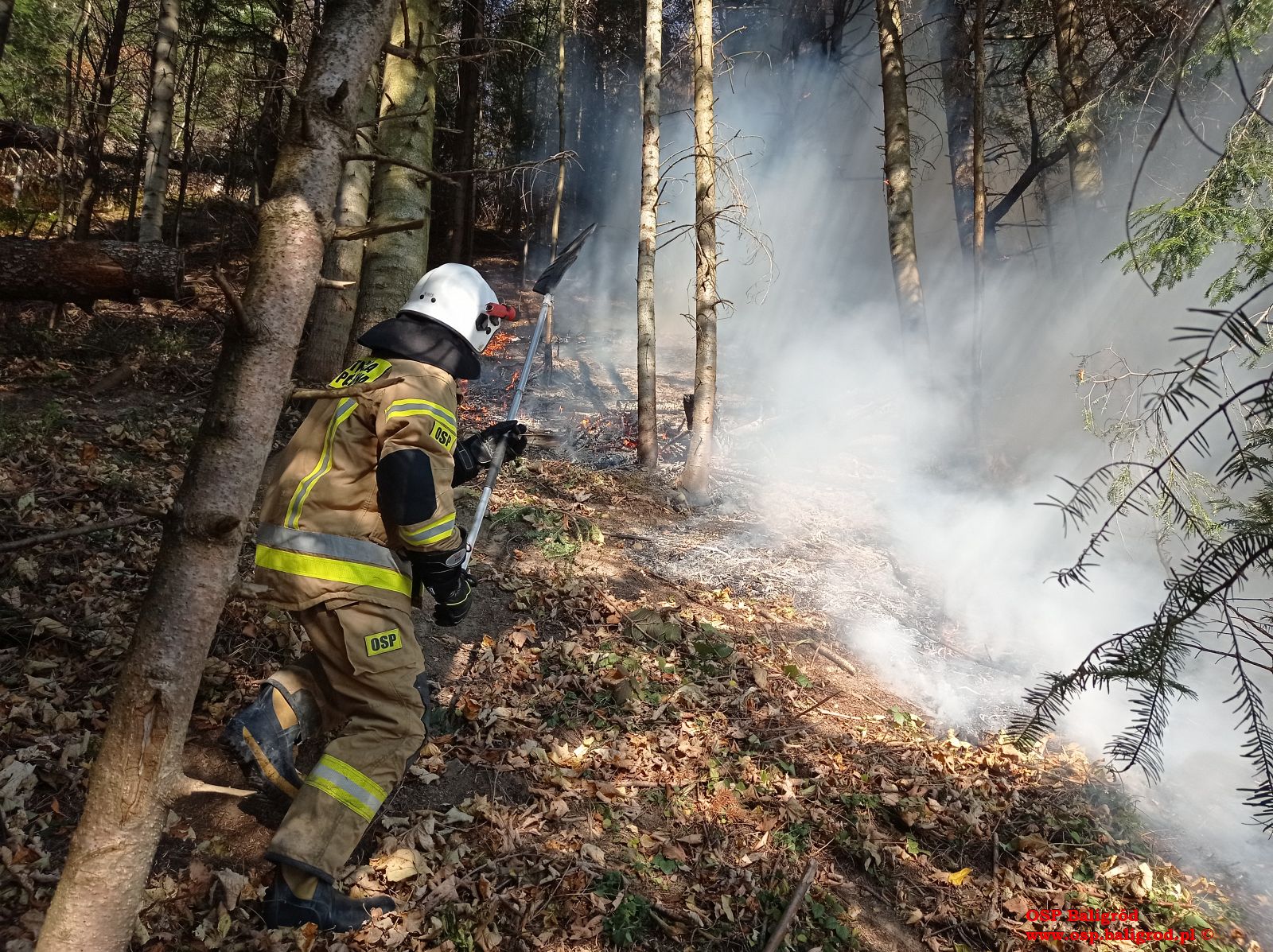 Pożar lasu koło Baligrodu w Bieszczadach. Ucierpiał zarządca, sam próbował go gasić [ZDJĘCIA] - Zdjęcie główne