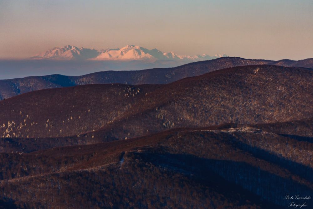 Tatry z Tarnicy! Istna magia - Zdjęcie główne