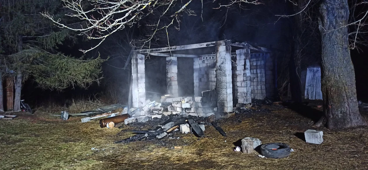W pożarze budynku gospodarczego w Krzeczkowej spłonęły zwierzęta! [ZDJĘCIA] - Zdjęcie główne