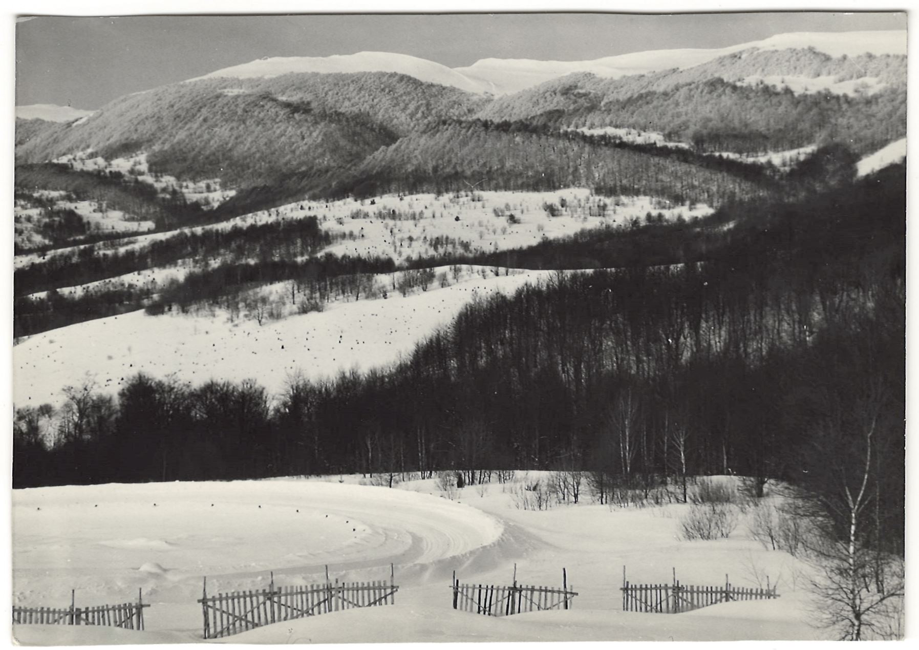 Bieszczady lat 60-tych! Zobaczcie niesamowite fotografie [ZDJĘCIA] - Zdjęcie główne