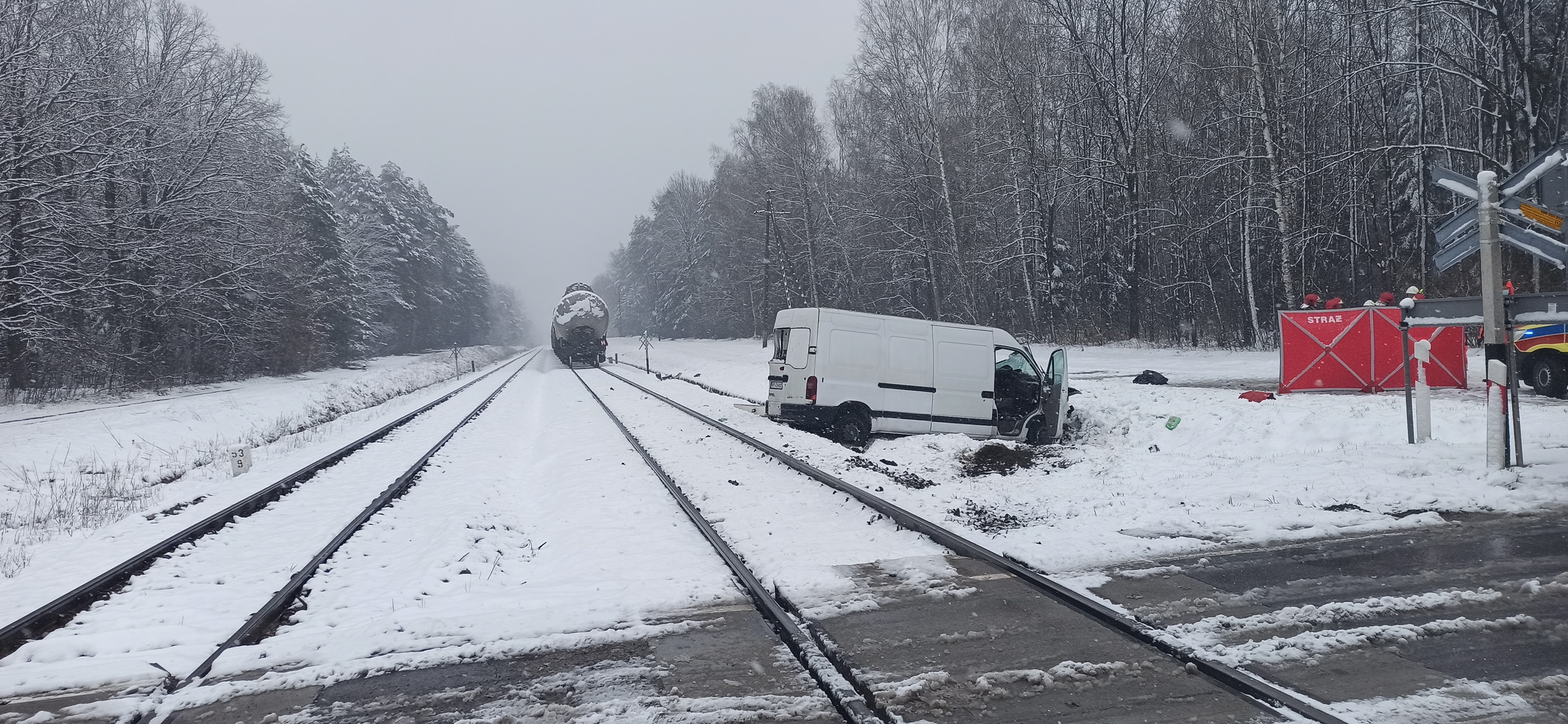 Bus uderzył w pociąg towarowy! Dwie osoby zginęły na miejscu [ZDJĘCIA] - Zdjęcie główne