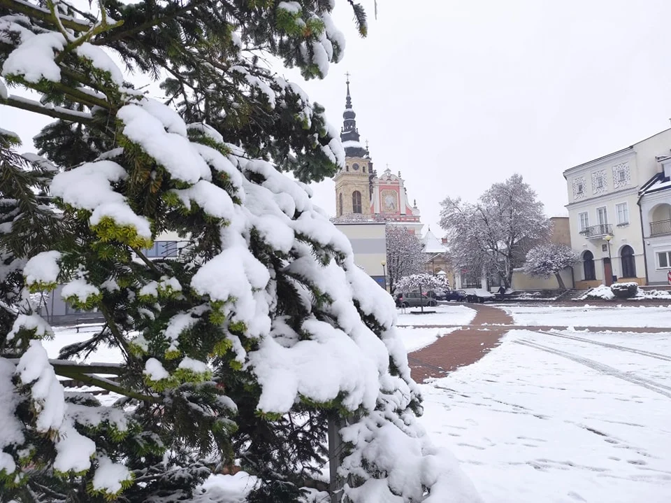 Atak zimy na Podkarpaciu. Może spaść nawet 30 centymetrów śniegu. Jest alert pogodowy IMGW [RADAR ONLINE] - Zdjęcie główne