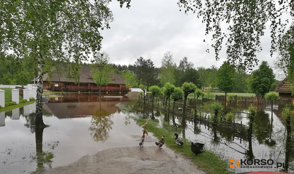 Skansen w Kolbuszowej zamknięty do odwołania - Zdjęcie główne