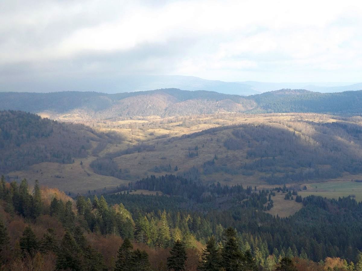 Genialny widok na Bieszczady [FOTO, VIDEO] - Zdjęcie główne