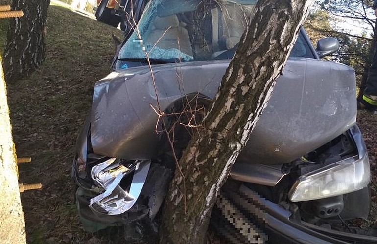WBIŁ się autem w drzewo. 3 osoby w szpitalu [FOTO] - Zdjęcie główne