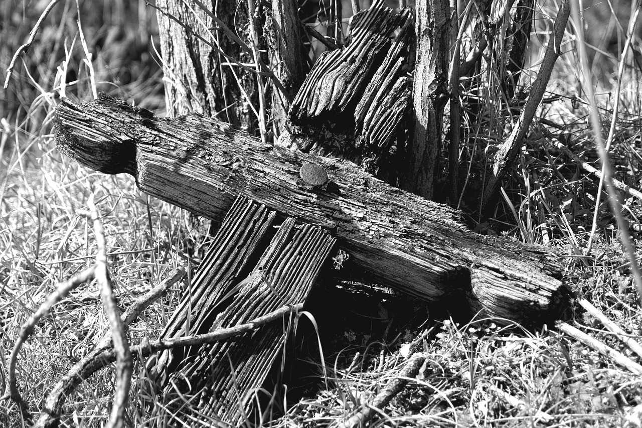 Krzyże na śmietniku przy przemyskim cmentarzu. Mieszkańcy: to zgroza! - Zdjęcie główne