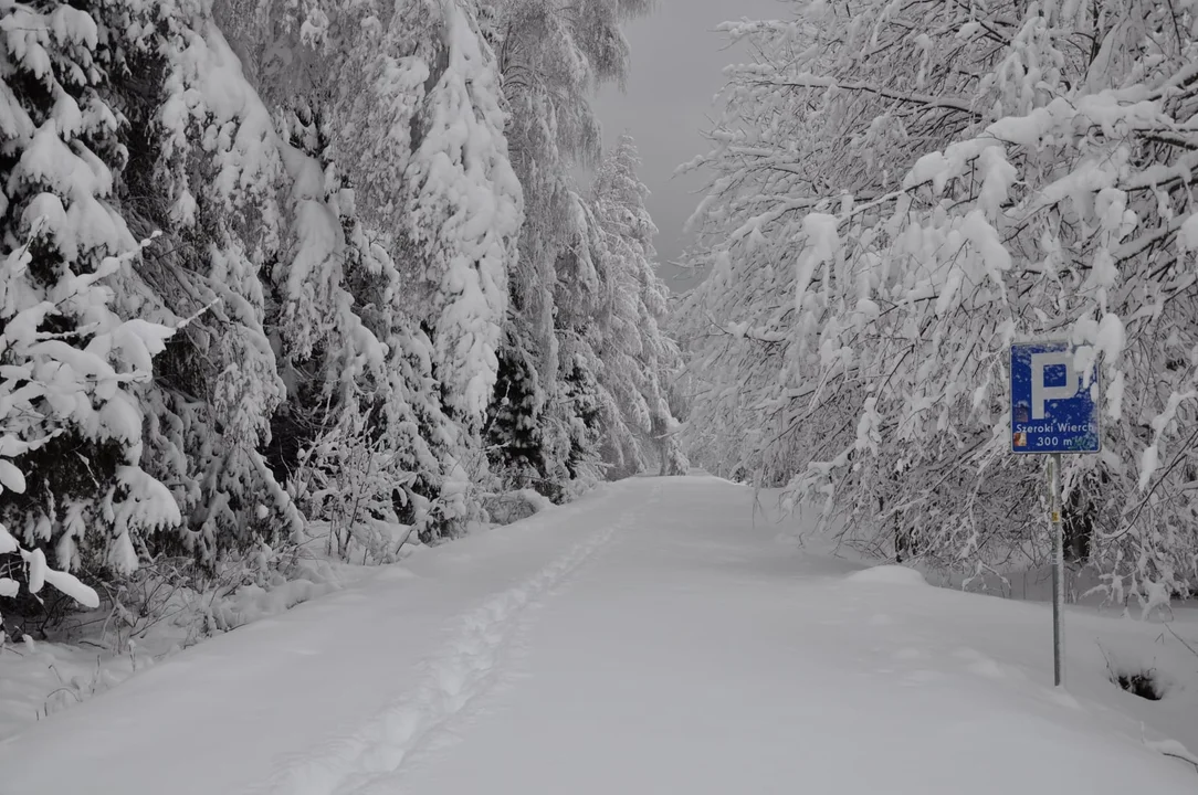 Piękna zima w Bieszczadach. Zobacz bajkowe krajobrazy [ZDJĘCIA] - Zdjęcie główne